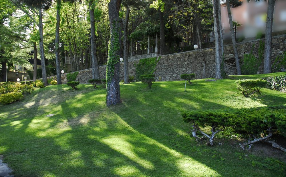 Mantenimiento jardines en espacios públicos y privados Madrid